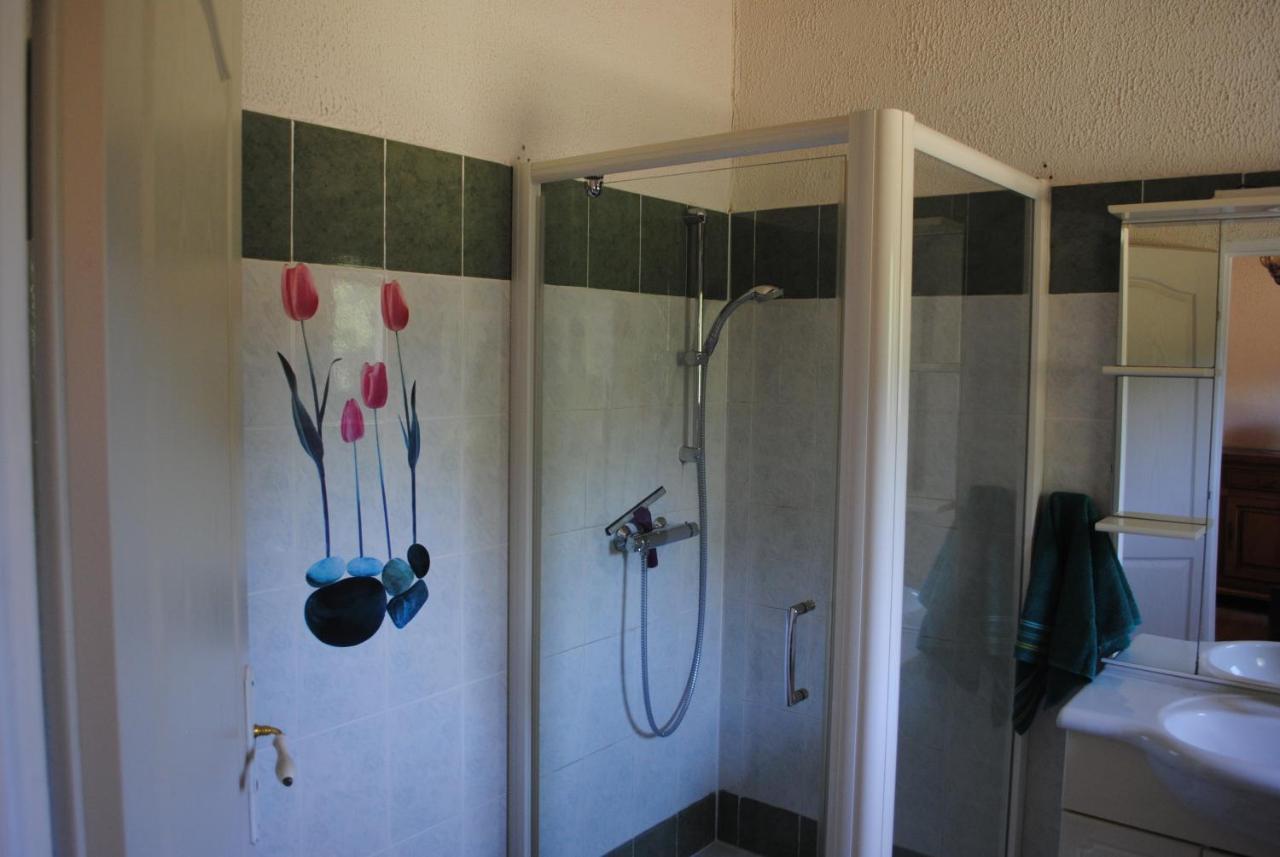 カルカソンヌ Chez Yvette , C'Est Chouette!! Bed & Breakfast エクステリア 写真