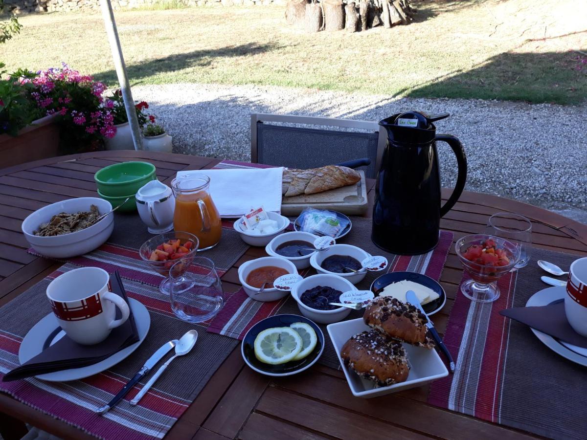カルカソンヌ Chez Yvette , C'Est Chouette!! Bed & Breakfast エクステリア 写真
