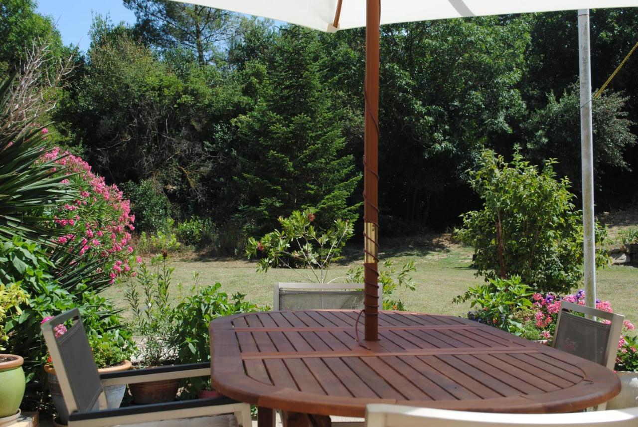 カルカソンヌ Chez Yvette , C'Est Chouette!! Bed & Breakfast エクステリア 写真
