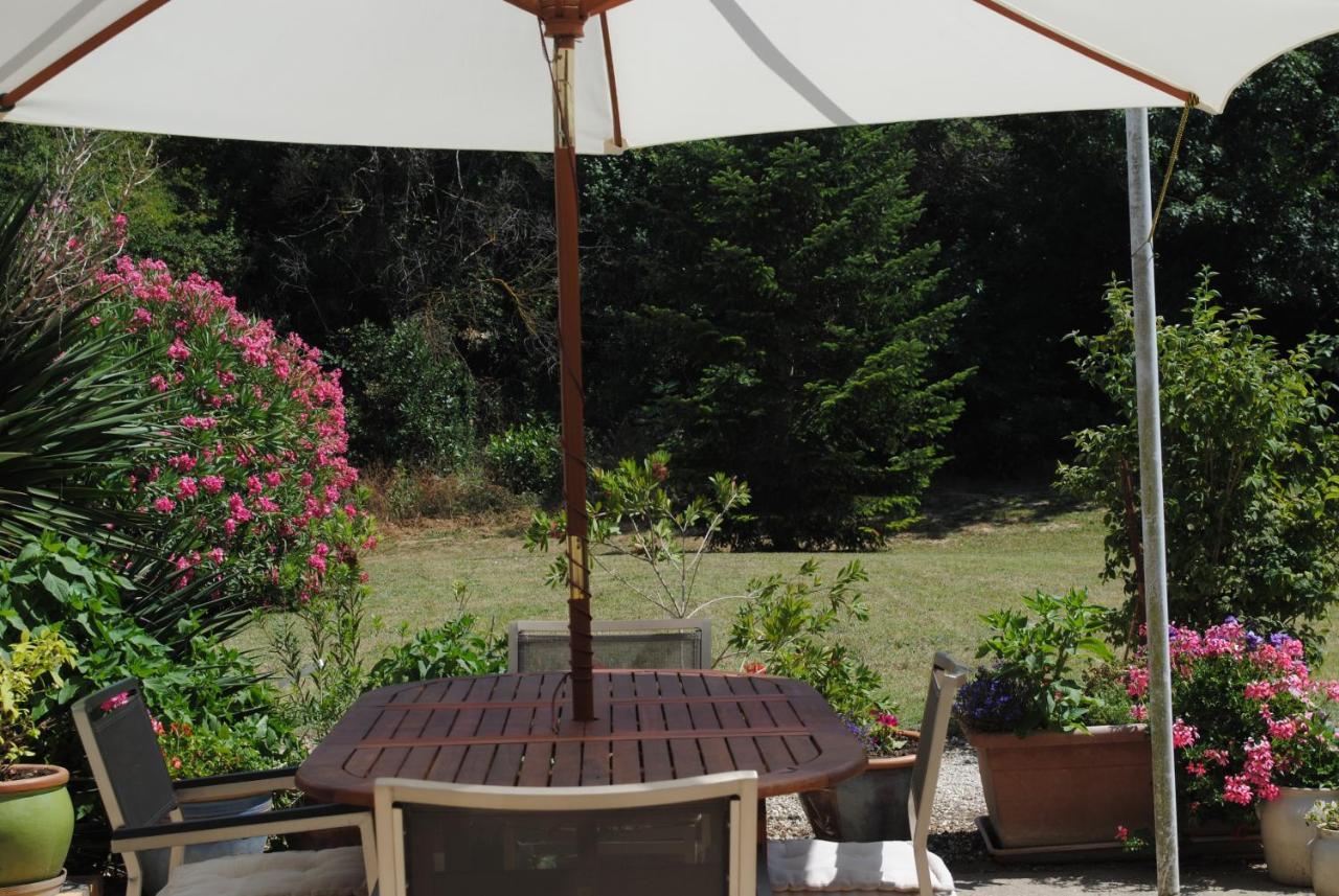 カルカソンヌ Chez Yvette , C'Est Chouette!! Bed & Breakfast エクステリア 写真